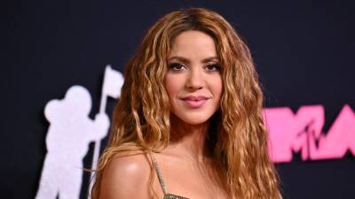 Shakira considera que en su caso subyace un prejuicio machista por parte de Hacienda española. “Si el cantante hubiera sido un hombre estadounidense, se hubiera enamorado de una española y la visitara regularmente, me cuesta creer que la Agencia Tributaria hubiera considerado que tenía una intención de arraigo”.
