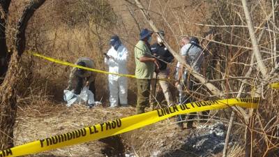 Las excavaciones continúan y las autoridades no descartan la presencia de más restos.