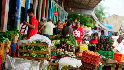 <b><span class=mln_uppercase_mln>Comercio.</span></b> Un grupo de comerciantes de un mercado sampedrano desarrollan sus labores diarias.