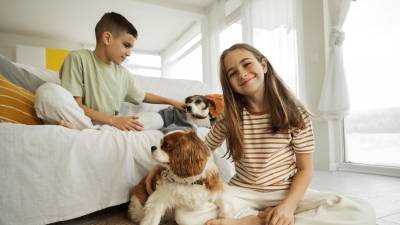 Por la salud de su familia, mantenga aseados a sus perros, sobre todo si pasan dentro de la casa.