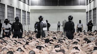 El Gobierno de El Salvador compartió imágenes del traslado masivo de prisioneros a la megacárcel.