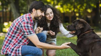Importante: Los perros aprenden las conductas enseñadas con amor y paciencia