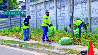 El informe realizado por el TSC a solicitud de las mismas autoridades municipales.