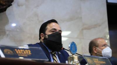 El diputado Luis Redondo, presidente del Congreso Nacional.