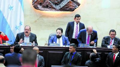 <b>El proyecto de reforma contempla modificaciones a los artículos constitucionales 303, 313 y 316 de la Carta Magna, por lo que deberá ser aprobado por 86 votos.</b>