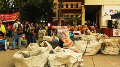 Más de 9,000 libras de papel, cartón y plástico recogen universitarios en el “Reciclaton” del año pasado.