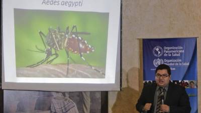 El director de Vigilancia Sanitaria del Ministerio de Salud, Rolando Masís, cofirmó que ya hay casi 13.000 casos en El Salvador.