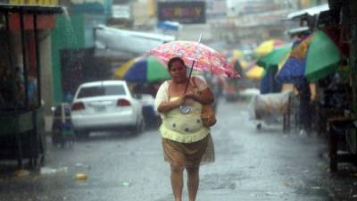 Foto: La Prensa