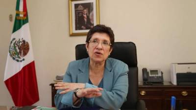 La embajadora Dolores Jiménez dice que los observadores deben ser personal calificado experto en elecciones.