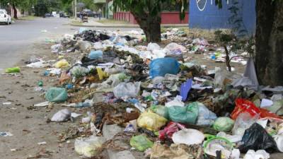 En la 13 calle del barrio Cabañas está el basural que afecta a vecinos y escolares de la zona. Foto: Cristina Santos