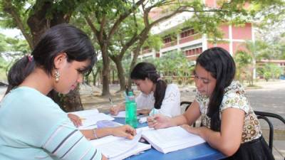 Tres estudiantes de la UPNFM estudian en una de las áreas verdes del campus en San Pedro Sula. Foto: Jorge Monzón