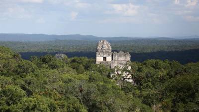 Fotografía de archivo en la que se registró una panorámica aérea del Parque Arqueológico Tikal, dentro de la Biósfera Maya.