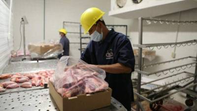 Los productores avícolas hondureños creen estar en la parte final del proceso de certificación sanitaria que les permita exportar a otros mercados.