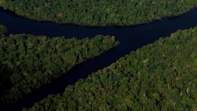 La Amazonía brasileña ha sufrido en los últimos años una cruel deforestación de miles de hectáreas de selva.