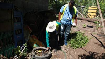 Labores. Dos trabajadores de Salud revisan el patio de una vivienda para asegurarse que no haya criaderos de zancudos. Recomiendan no almacenar llantas en los solares. Foto: Franklin Muñoz.