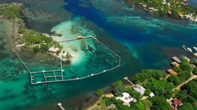 La isla de Roatán en el Caribe hondureño es uno de los destinos predilectos por los salvadoreños.