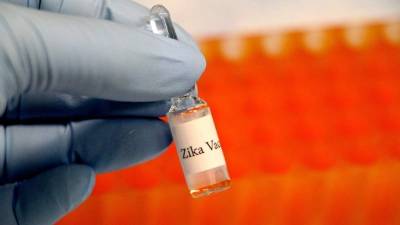 La inyección de la vacuna desencadenó una respuesta inmunitaria rápida en ratones.