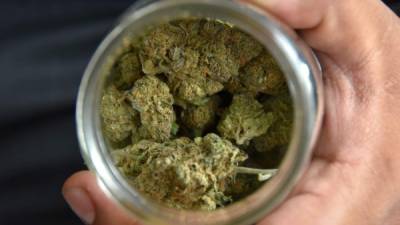 El dispensario Kind Love, en Glendale, una pequeña ciudad de Denver, indicó que toda aquella persona que presente una identificación válida de las Escuelas Públicas de Denver (DPS, por sus siglas en inglés) podrá adquirir 3,5 gramos de marihuana recreativa por un centavo de dólar. EFE/Archivo