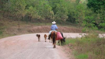 Preocupa paralización de carretera