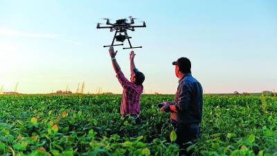 El uso de dispositivos tecnológicos como los drones, adaptados a la agricultura, permite a los productores tener un mejor control de plagas en sus cultivos.