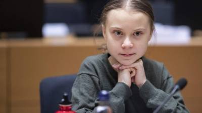 La jovencita invita a los activistas a publicar fotos en línea de ellos con la etiqueta #ClimateStrikeOnline todos los viernes.