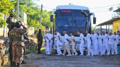 Los reos, en su mayoría de la Mara Salvatrucha (MS-13), fueron trasladados en autobuses bajo fuertes medidas de seguridad. Foto: Twitter