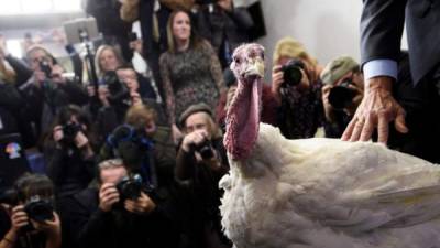 El pavo es el plato principal de la cena de Acción de Gracias en Estados Unidos./AFP.