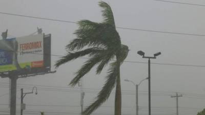 Lluvia con fuertes vientos comenzó a afectar a San Pedro Sula este mediodía provocando en pocos minutos algunas calles anegadas.