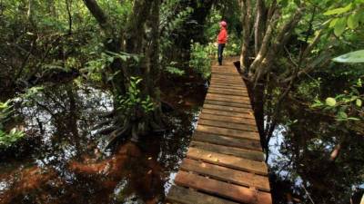 En Honduras se destaca la belleza y los emprendimientos de la Costa Norte.