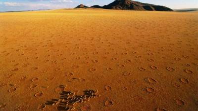 Los círculos se cuentan por decenas de miles.