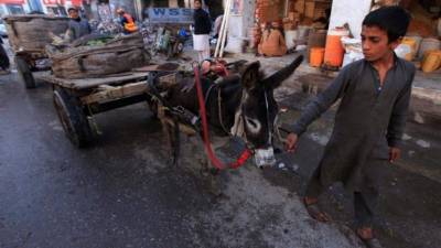 Hasta en siete países han aumentado las muertes violentas de niños y adolescentes menores de 19 años.