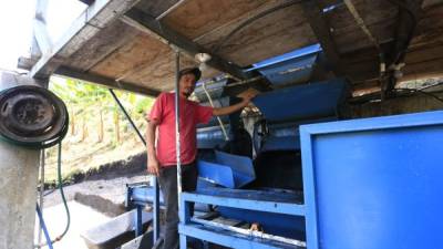 Ejemplar.José Leonel Escobar (de 37 años) ofrece el servicio de despulpado de café a más de 300 productores de algunas aldeas de Las Vegas, Santa Bárbara.