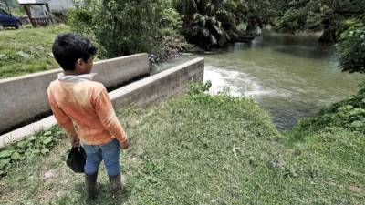 Los técnicos ambientales de las regiones de Salud de Cortés, Comayagua y Santa Bárbara siguen tomando muestras en los afluentes del Lago de Yojoa para detectar el foco de la bacteria.
