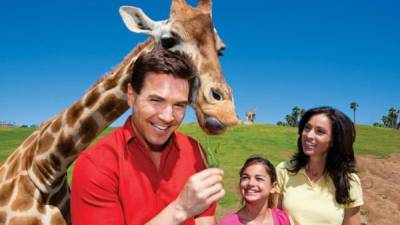 Los visitantes tienen la oportunidad de alimentar a algunas especies como la jirafa.