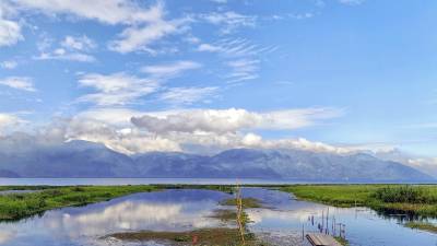 Proyectos son impulsados por la Unión Europea.
