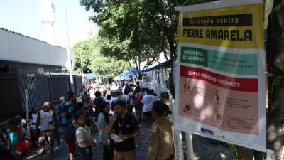 Según datos oficiales, más de 250 personas han muerto en los últimos meses por fiebre amarilla en Brasil y hay cientos de casos confirmados en una de las peores crisis sanitarias de las últimas décadas por esta enfermedad en el país.Foto:EFE.