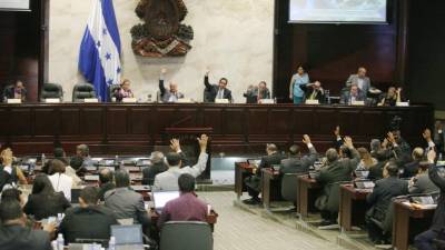 El plebiscito solo puede convocarse sobre asuntos de interés nacional sobre los cuales no haya una decisión previa.