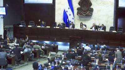 Los diputados aprobaron las reformas al Código Penal hace tres semanas.