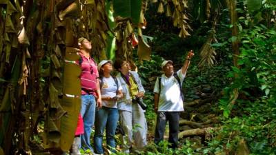Turistas guiados en un parque de Nicaragua.
