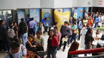 Las oficinas y alrededores de la Bolsa de Empleo fueron saturadas por los aspirantes.