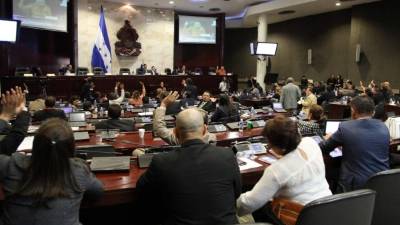 Los diputados retomarán la próxima semana la discusión de la normativa.