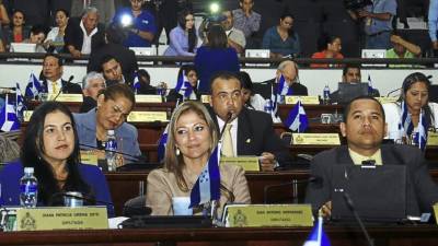Los diputados han hecho varios requerimientos presupuestarios para 2015.