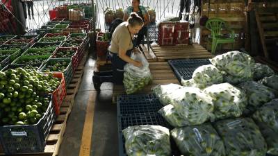 Una mujer organiza su venta de limones en una central de abastos habilitada por el Gobierno, este miércoles, en Soyapango, El Salvador.