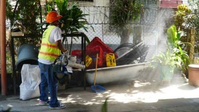 Acciones. Los operativos de fumigación iniciaron ayer en la colonia Fesitranh. foto: A. Izaguirre.