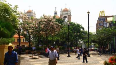 Se estima que, en San Pedro Sula, más de 100 mil personas esperan un trabajo.