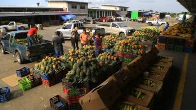 Toda la cadena comercial de productos agrícolas perecederos registra pérdidas.