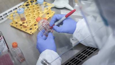 Investigadores trabajan en el Laboratorio de Virología Molecular de la Universidad Federal de Río de Janeiro. Fotografía: EFE.