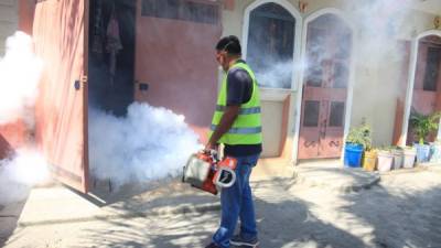 Personal de la alcaldía fumigó ayer las viviendas en el barrio Las Palmas de San Pedro Sula. foto: Franklyn Muñoz