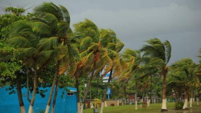 Los vientos en el puerto comenzaron a sentirse desde la mañana. Fotos Melvin Cubas.