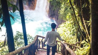 This is a horizontal, color, royalty free stock photograph of a 39 year old Cuban man walking a wooden staircase as he descends toward the eco tourist, travel destination, Rio Celeste, a waterfall in Tenorio National Park, Costa Rica. Photographed with a Nikon D800 DSLR camera.